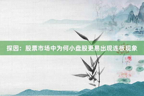 探因：股票市场中为何小盘股更易出现连板现象