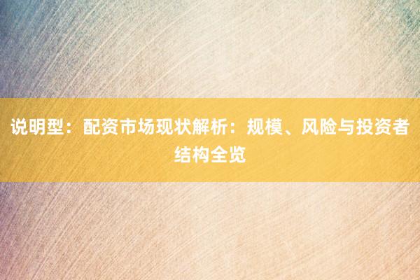 说明型：配资市场现状解析：规模、风险与投资者结构全览