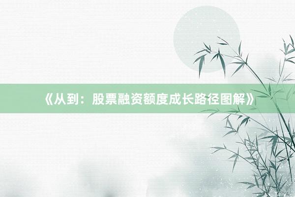 《从到：股票融资额度成长路径图解》