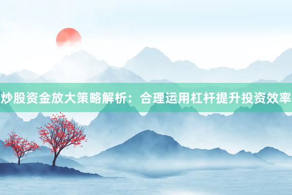 炒股资金放大策略解析：合理运用杠杆提升投资效率