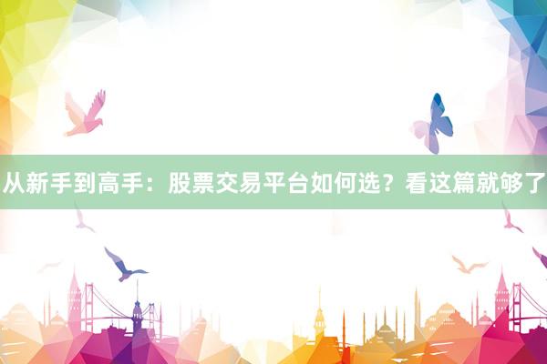 从新手到高手：股票交易平台如何选？看这篇就够了