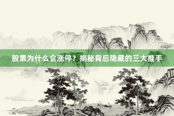 股票为什么会涨停？揭秘背后隐藏的三大推手