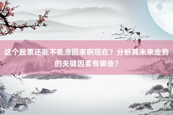 这个股票还能不能涨回来啊现在？分析其未来走势的关键因素有哪些？