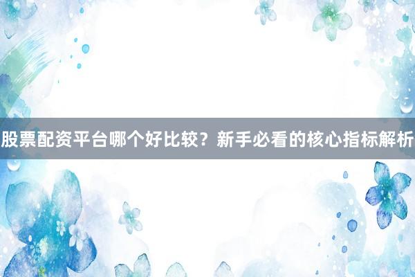 股票配资平台哪个好比较？新手必看的核心指标解析