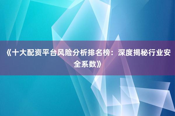 《十大配资平台风险分析排名榜：深度揭秘行业安全系数》