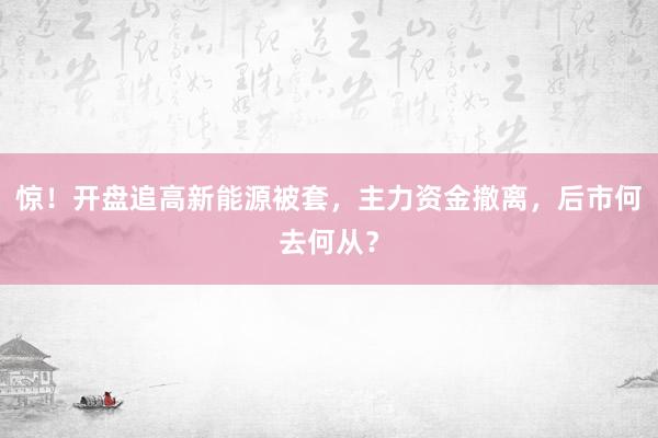 惊！开盘追高新能源被套，主力资金撤离，后市何去何从？
